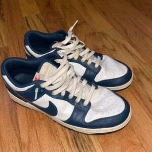 Blue Nike Dunks